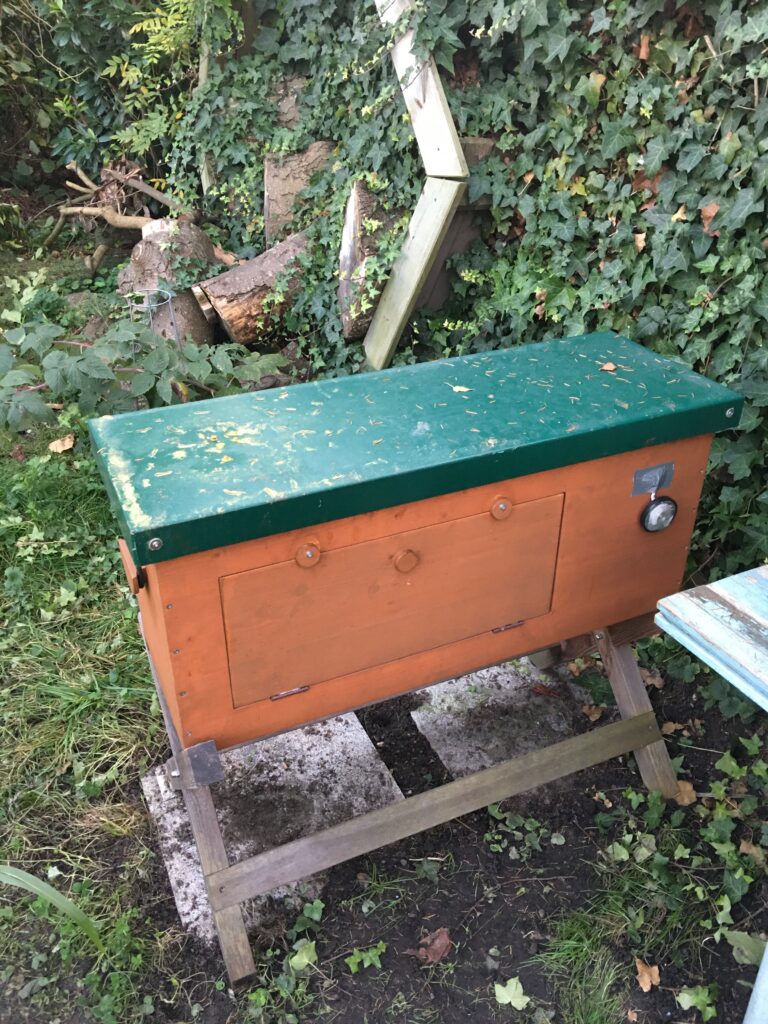 Bienenbox von hinten mit Fenster