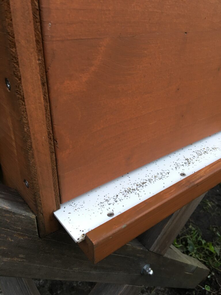 Bienenbox und Varroaschublade