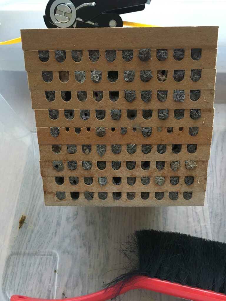 Sicht auf den kompletten Nisthilfenblock