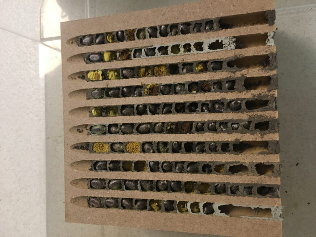 Sicht auf die Nisthilfen