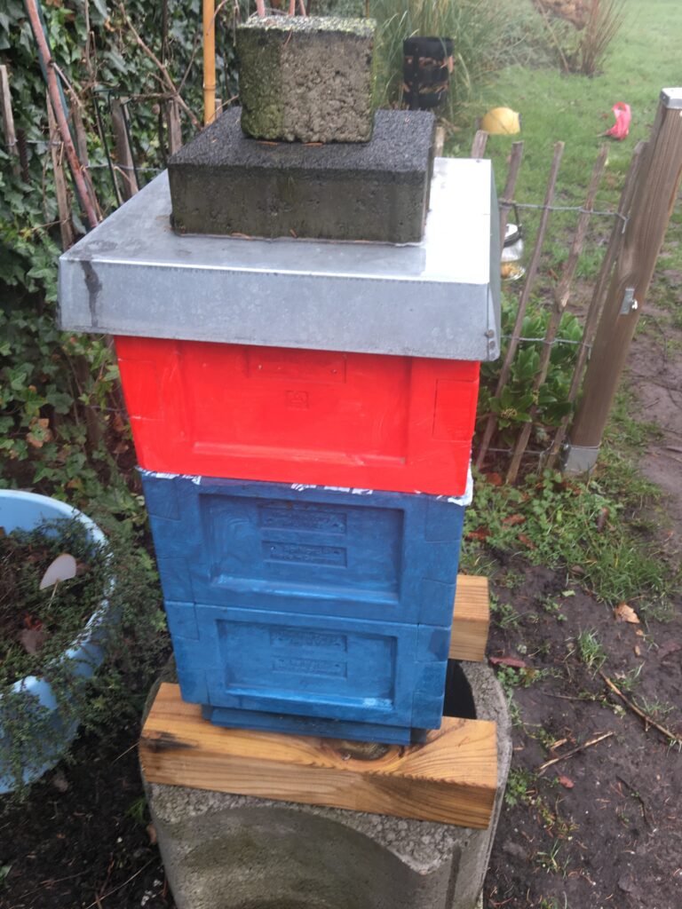 Fütterung der Bienen im Januar 2020 Mini Plus