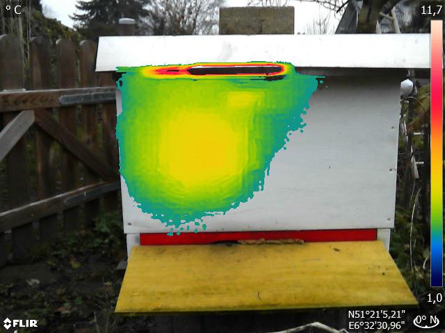 Volk 3 311219 Dadant US