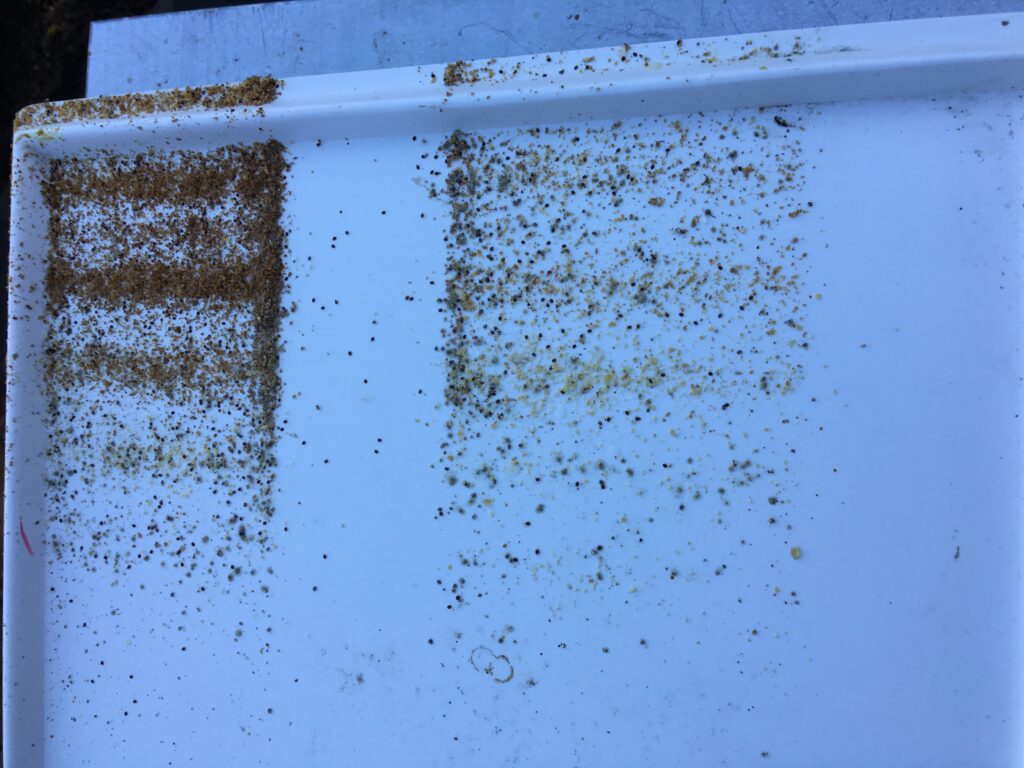 Volk 5 Varroaschublade Bienen Ende Januar