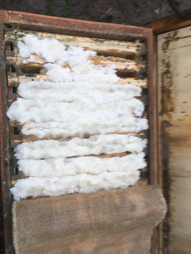 Futterteig bei der Bienenbox auflegen komplett