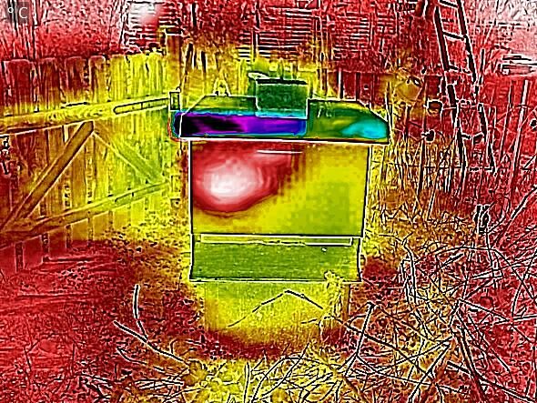 Volk 3 Anfang Februar 2020