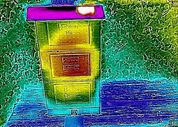 Volk 9 Anfang Februar 2020