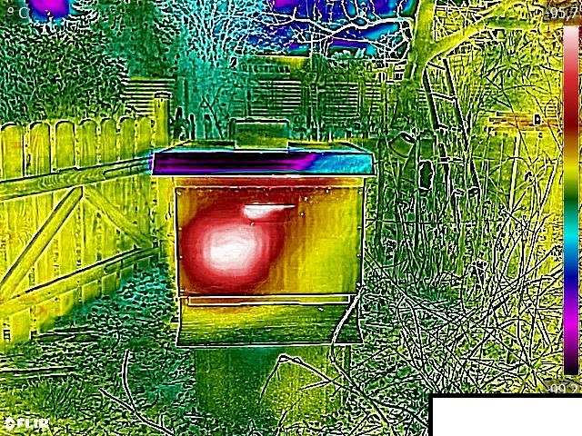 Volk 3 Freya Anfang März