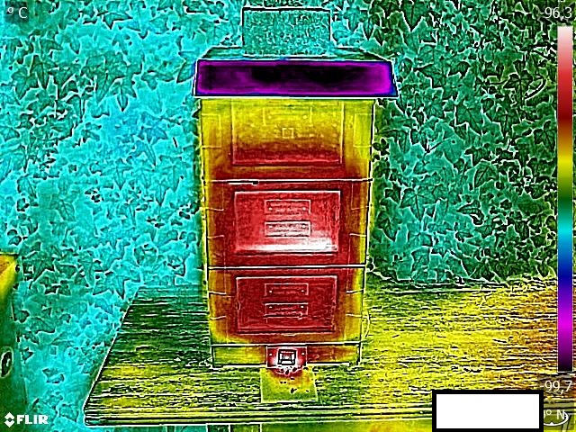 9 Volk vom Baum Mini Plus