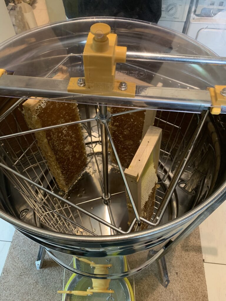 Der erste Honig ist in der Schleuder