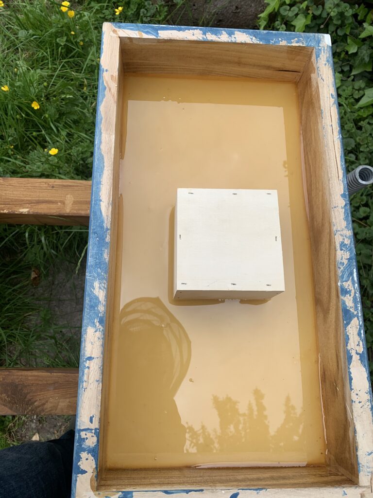 Honig den Bienen zurückgeben 0520