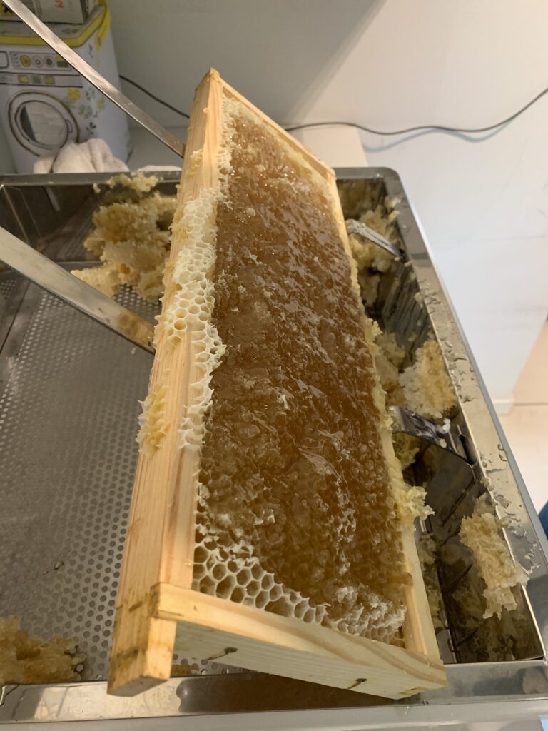 Honig wird entdeckelt