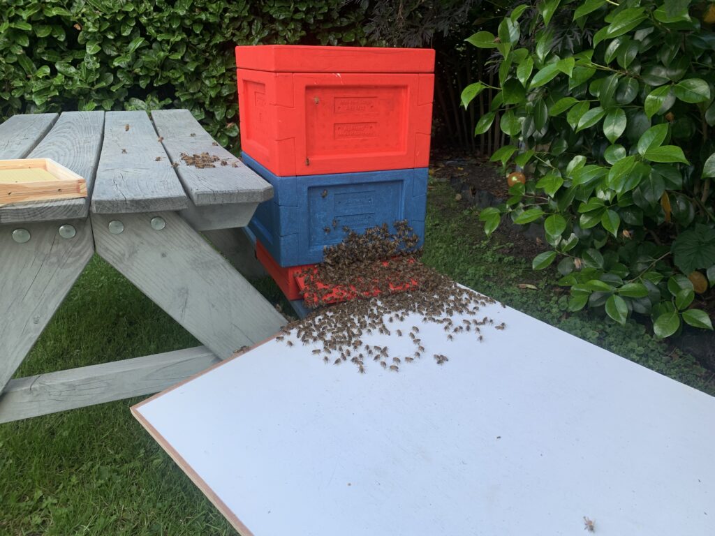 Der andere Teil von Schwarm 3 läuft ein