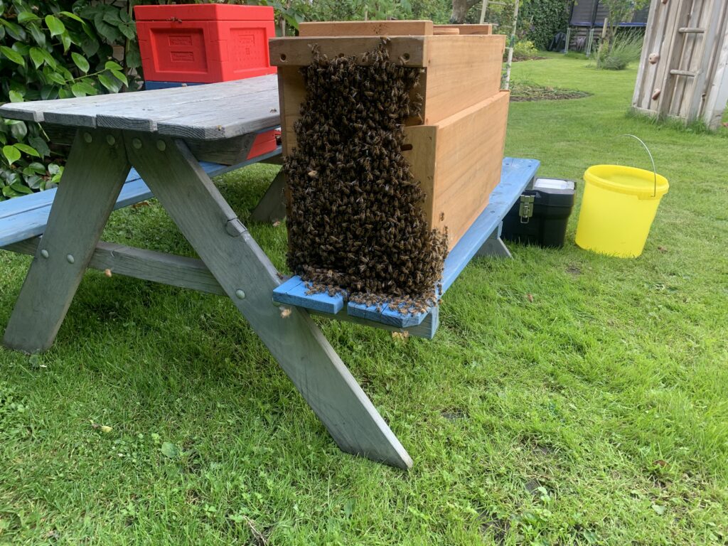 Schwarm 3 ist fast in der Kiste