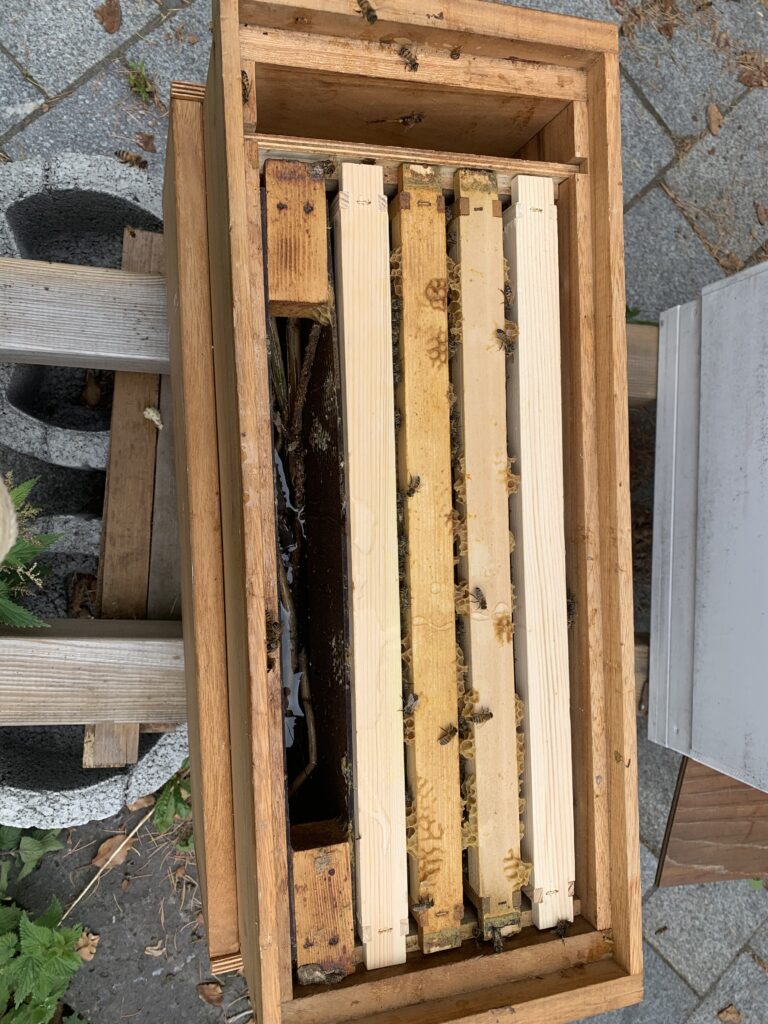 Volk 3 Freya ist bereit für den Umzug