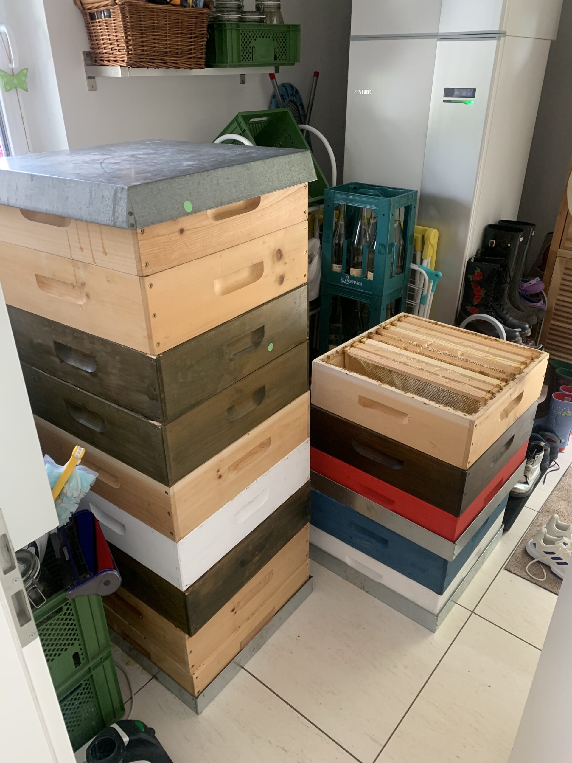 Arbeiten Anfang August Honigräume