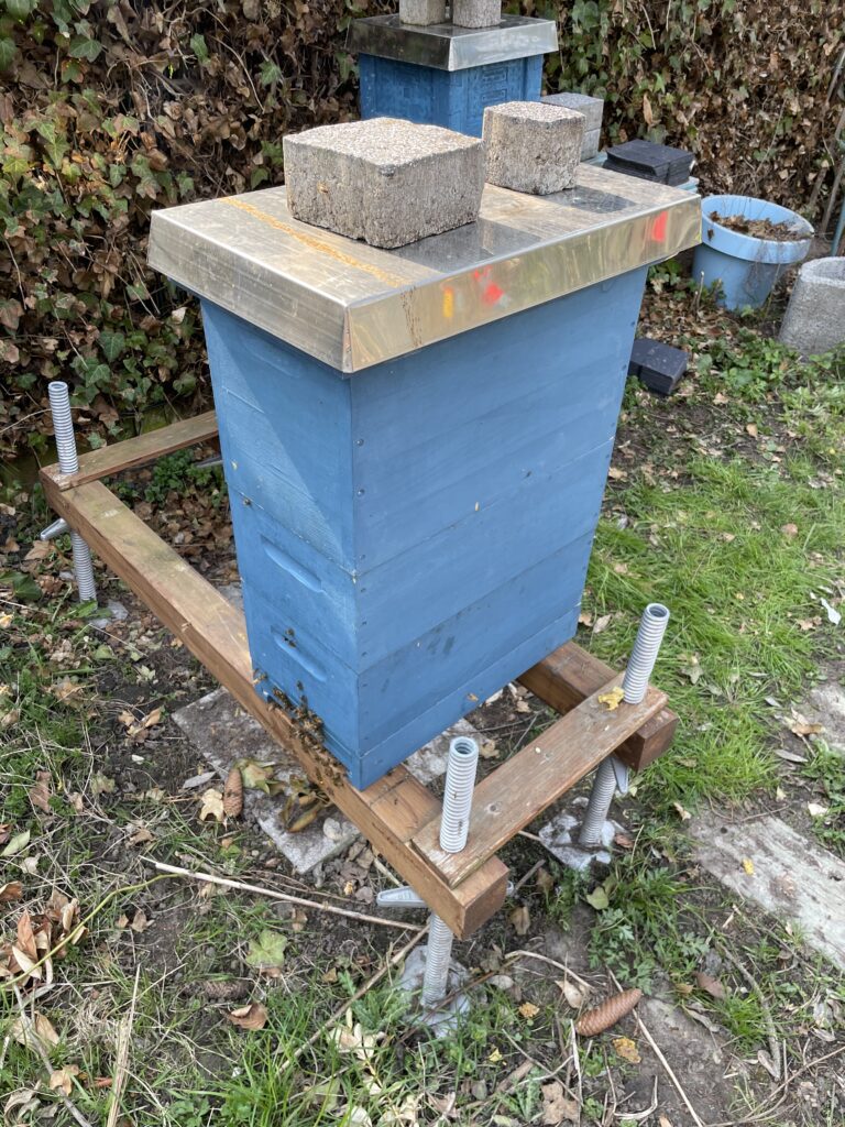 Arbeiten an den Bienen Bild April 2021