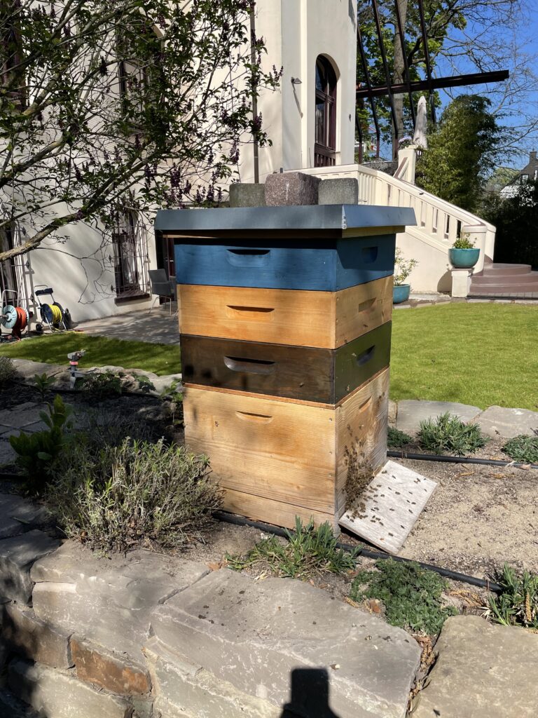 Der dritte Honigraum Volk 9