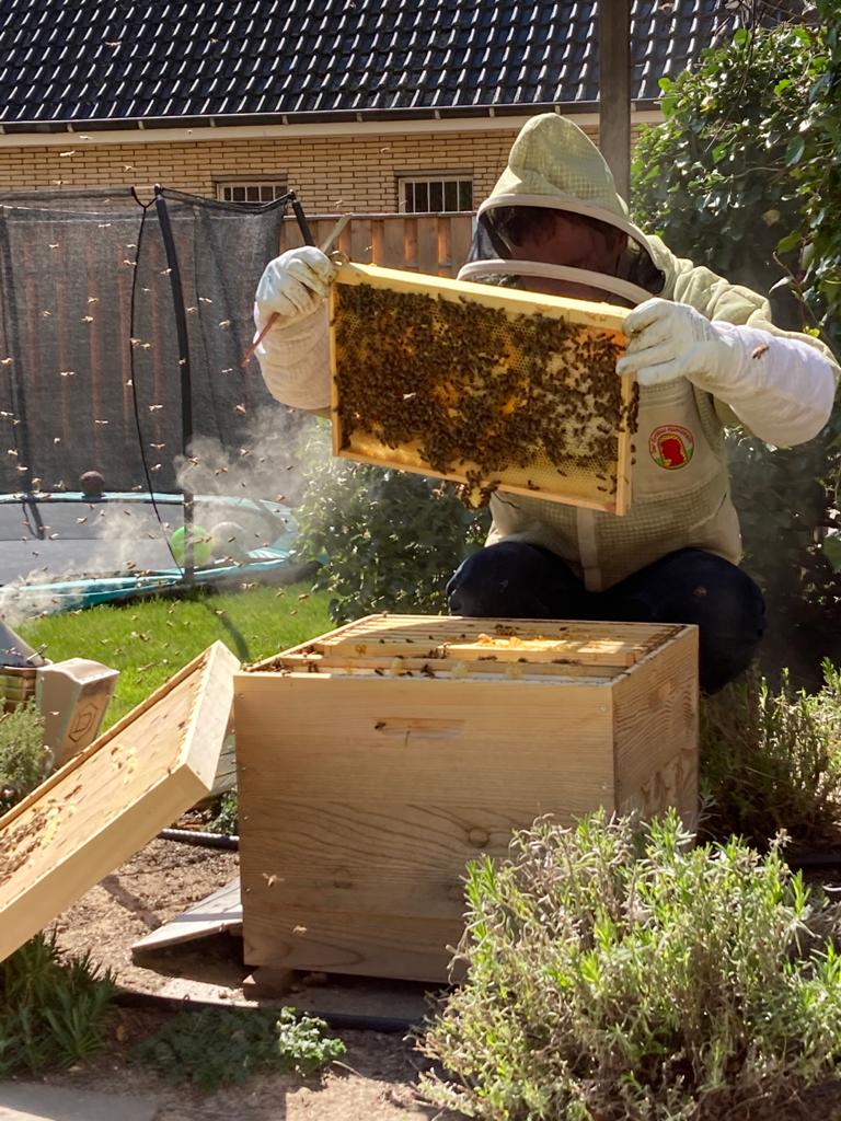 Schwarmzellen suchen