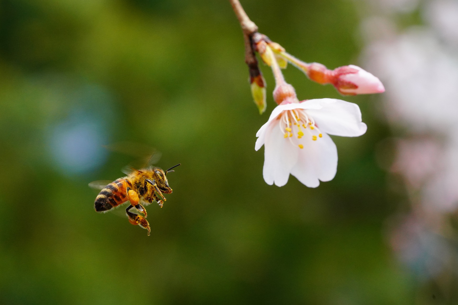 Monatsbetrachtung April