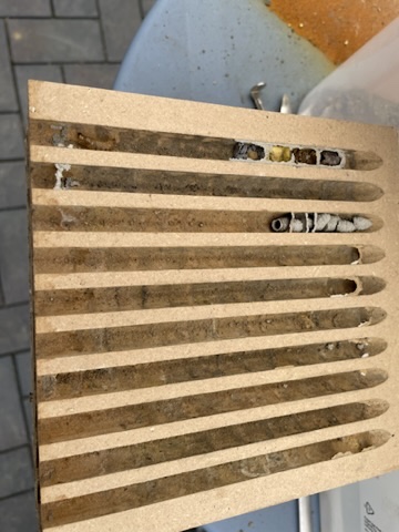 Mumifizierte Kokons