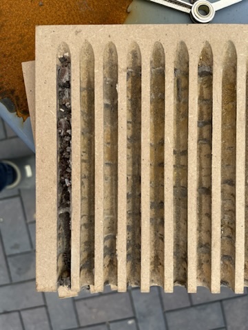 Parasitenbefall Mauerbienen 2