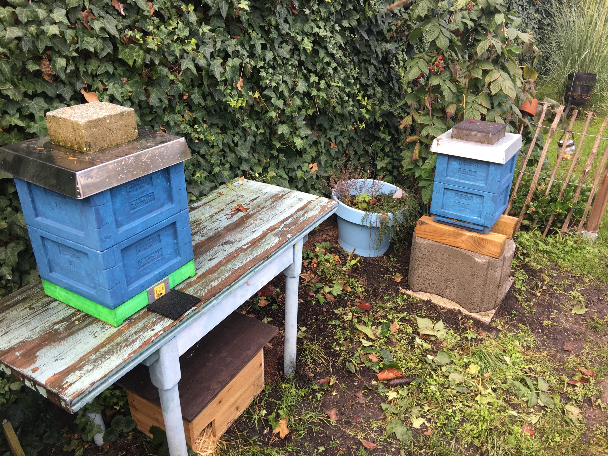 Mini Plus Bienenbeuten auf einem kleinen Bienenstand – Mini Plus Bienenhaltung