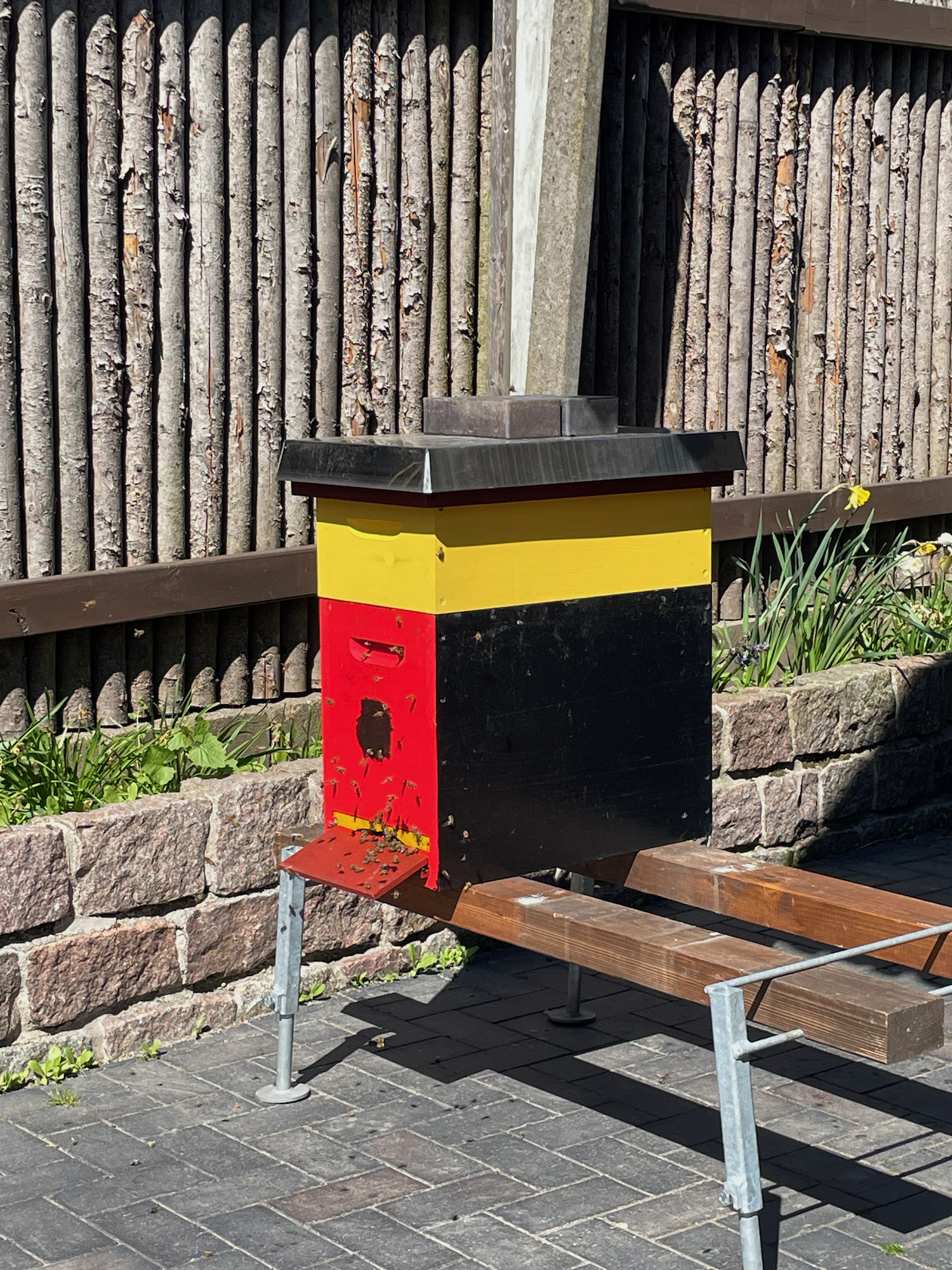 Mein erstes Honigbienen Volk ist da. Willkommen Freyja