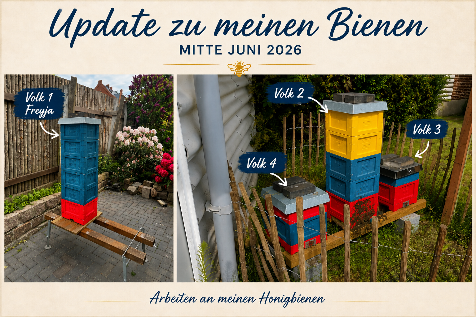 Meine Bienen Update Post mit allen meine 4 Völkern