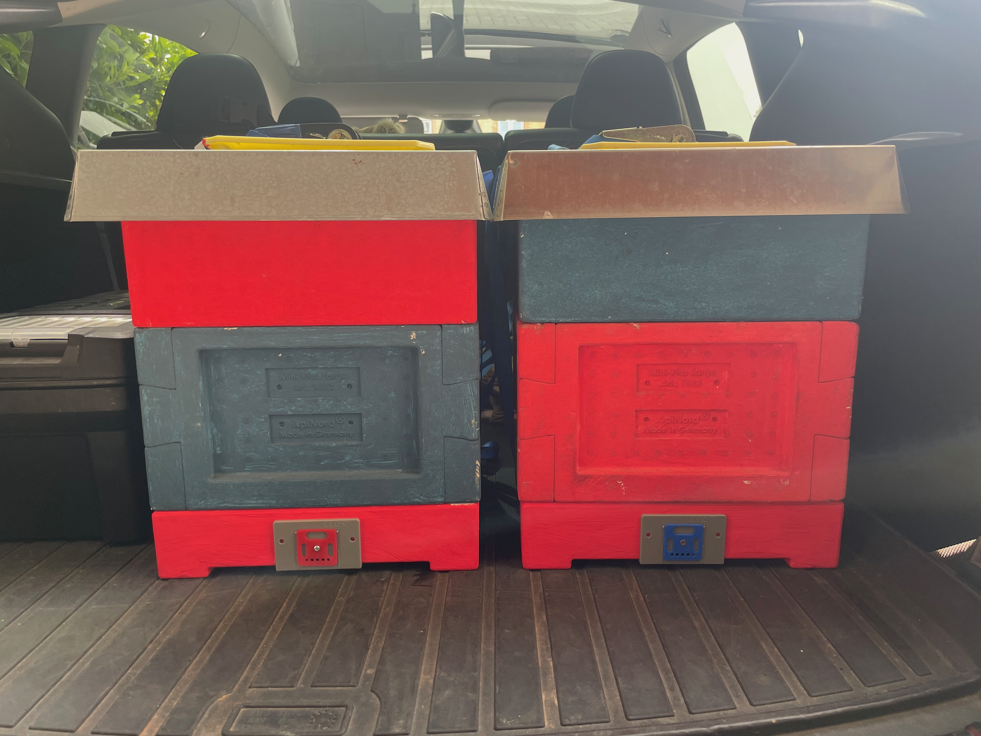 Mini Plus Ableger im Auto fertig für den Transport.
