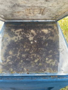 Meine Bienen Damen sind begeistert vom Stampfhonig