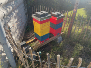 Update Meine Bienen August 2026